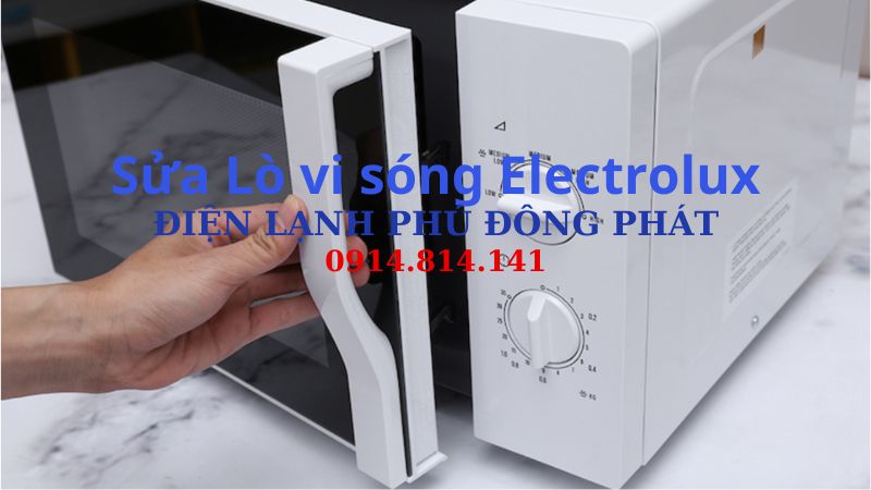 Những mã lỗi lò vi sóng Electrolux thường gặp khi sử dụng